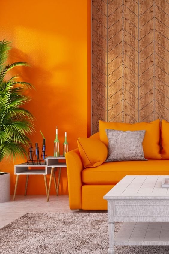 Vibrant Interior Painting
